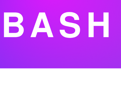 BASH logo